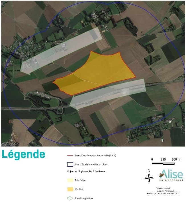 enjeux avifaune cartographie